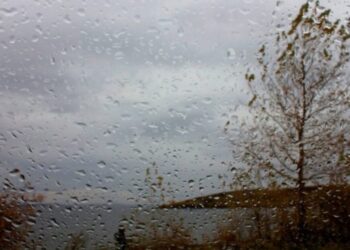 Бүгін еліміздің басым бөлігінде найзағай ойнап, жаңбыр жауады