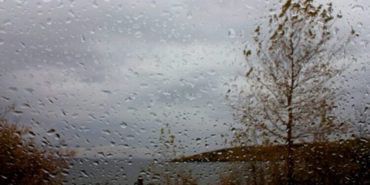 Бүгін еліміздің басым бөлігінде найзағай ойнап, жаңбыр жауады
