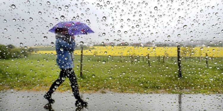 Алдағы 3 күнде жел күшейіп, нөсер жауын жауады