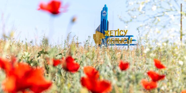 «Ауыл аманаты»: более 3 млрд тенге выделят области Жетысу