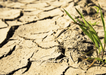 Еліміздің бес облысында құрғақшылық күтіледі