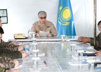 Абай облысындағы өрт: Тоқаев министрліктерге қандай тапсырма берді?