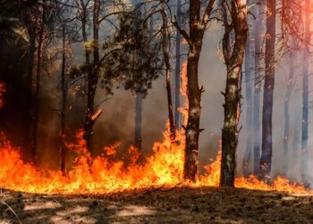 Абайдағы трагедия басқа өңірде қайталанбауға тиіс