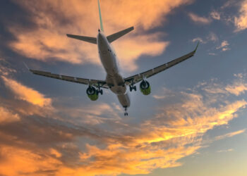 Қаза болған орманшылардың отбасы мүшелері ұшақпен тегін қатынай алады