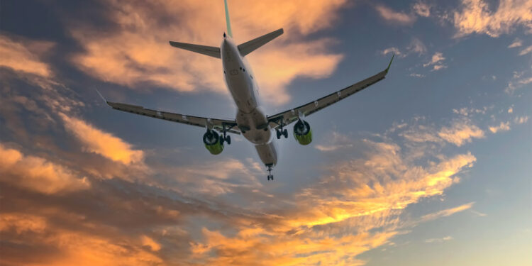 Қаза болған орманшылардың отбасы мүшелері ұшақпен тегін қатынай алады