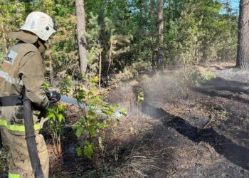 Абай облысындағы өрт кезінде ерлік танытқандар марапатталды