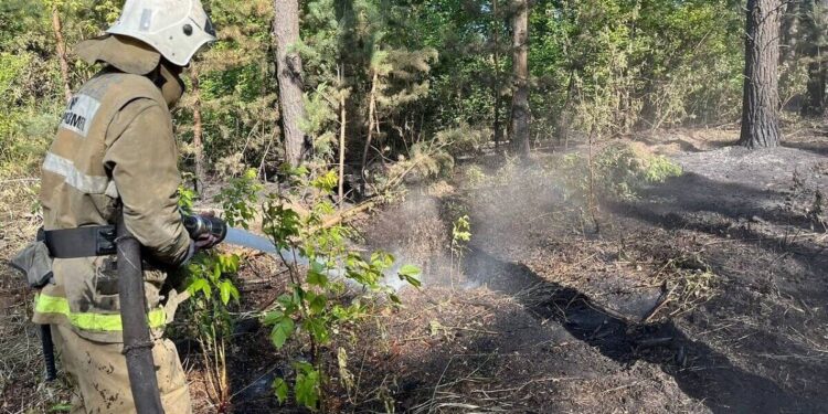 Абай облысындағы өрт кезінде ерлік танытқандар марапатталды