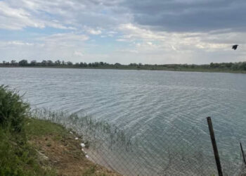 Сыр диқандарының көңілі күпті