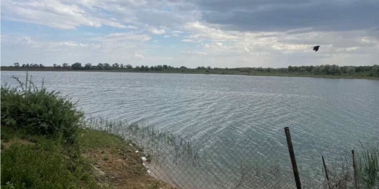 Сыр диқандарының көңілі күпті