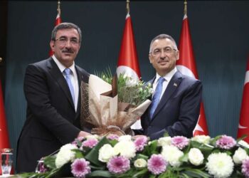 Фуат Октай передал полномочия вице-президента Турции