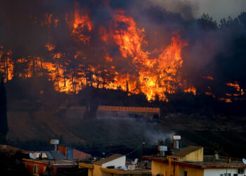 Түркияда курорт маңындағы орман өртенді
