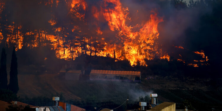 Түркияда курорт маңындағы орман өртенді