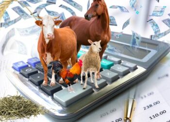 Жаңа бизнес-идеяларды іске асыру үшін 5,3 мыңнан аса адамға грант берілді