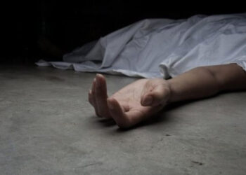 Белгілі кәсіпкердің бөлшектенген денесі мұздатқыштан табылды