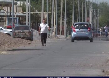 Түркістан облысында депутат кәсіпкерді соққыға жықты