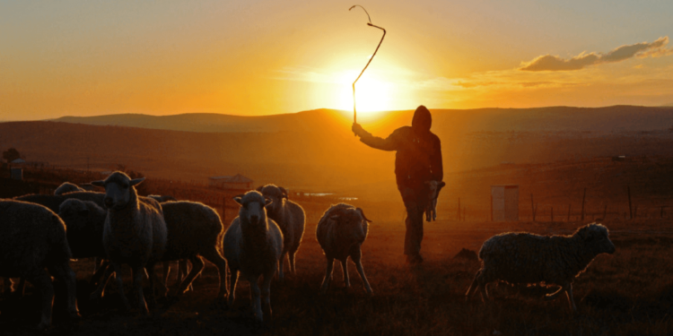 Қызылорда облысында 20 жастағы малшы төрт күннен бері табылмай жатыр