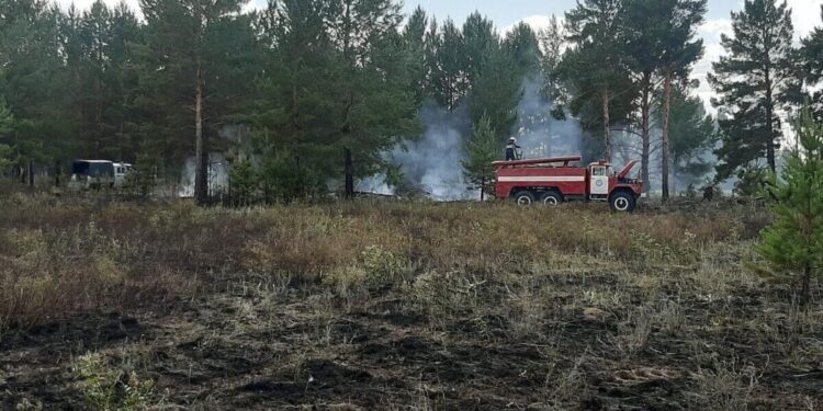 Абай облысының Бесқарағай ауданындағы орман өрті сөндірілді