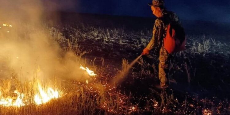 Ұлытау облысында 2 мың гектар жер өртеніп жатыр