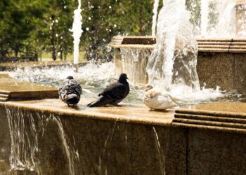 Казахстанцев в четверг ждут грозы, шквал и сильная жара