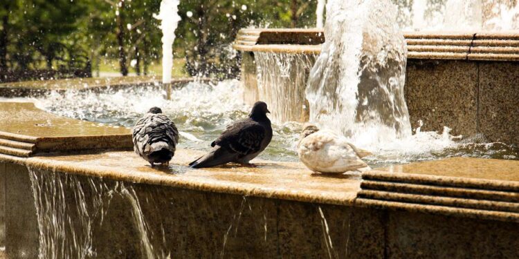 Казахстанцев в четверг ждут грозы, шквал и сильная жара