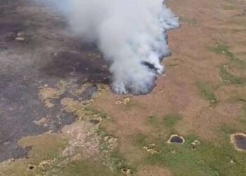 Локализовано загорание камыша в Иле-Балхашском резервате