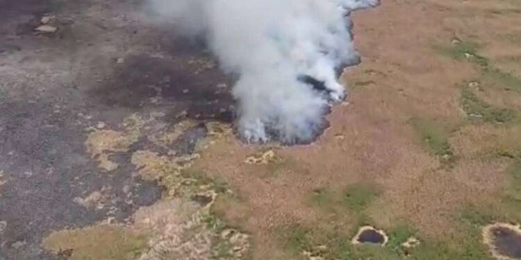 Локализовано загорание камыша в Иле-Балхашском резервате