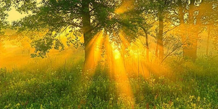 Тамыз айына арналған ауа райы болжамы жарияланды