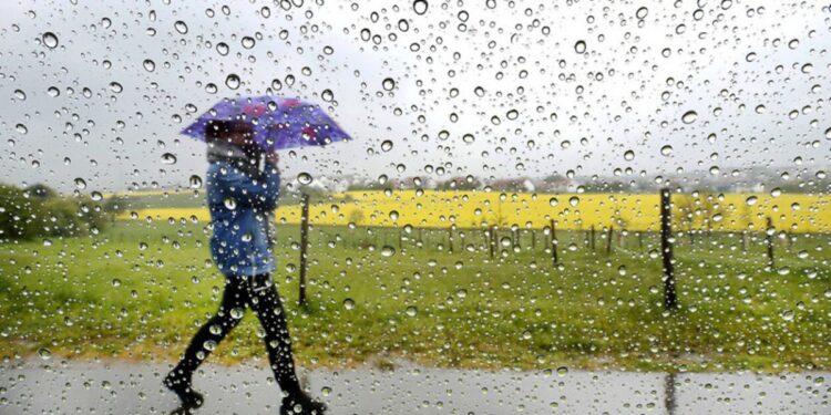Бүгін еліміздің басым бөлігінде жаңбыр жауып, найзағай ойнайды