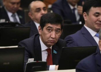 Депутат ақпараттық шабуыл мен қысымға қарамастан пікірі өзгермегенін айтты