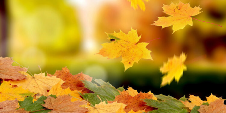 Алдағы үш күнде күн жылы болады