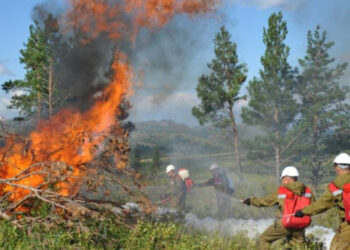Бас прокуратура: Орман өртінен 30 миллиард теңге шығын келді