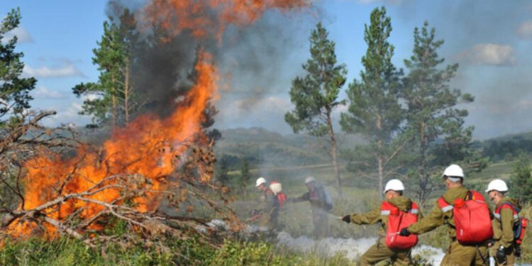 Бас прокуратура: Орман өртінен 30 миллиард теңге шығын келді