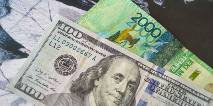 30 жылда елден шетелге 200 млрд доллар шығарылған
