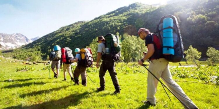 Президент туризм саласындағы атқарылмай жатқан жұмыстарды сынға алды