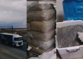 Более 104 тонн маковой соломки изъято в ходе спецоперации МВД