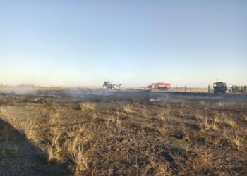 Абай облысында сіріңкемен ойнаған балалар 82 тонна шөпті өртеп жіберді