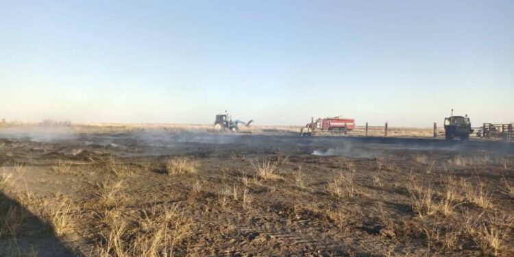 Абай облысында сіріңкемен ойнаған балалар 82 тонна шөпті өртеп жіберді