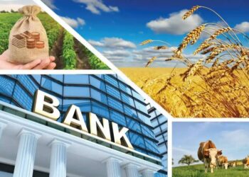 Агробанк қажет пе?