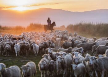 Малшы табу – машақат