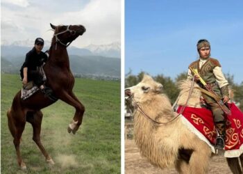 «Қыз қууда талай жігітті қамшымен сабадым». Шабандоз қыз асау түйені қалай үйреткенін айтты