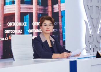 Медиа саласындағы заңнама жетілдіріліп жатыр – Балаева