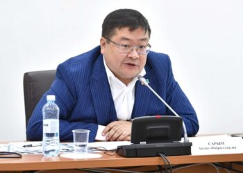 Болат Назарбаевтың қызына тиесілі компания міндетін толық атқармай отыр – депутат