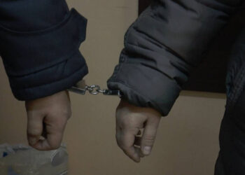 Алматы облысында зейнеткерлерді өлтірген қылмыскер 12 жылдан кейін ұсталды