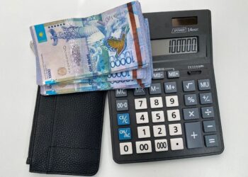 Биыл 262 мыңнан астам адамға атаулы әлеуметтік көмек көрсетілді