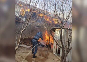 Бүтін бір отбасы ажалдан аман қалды