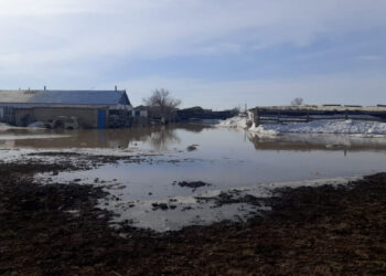 Әкімдіктер су тасқыны салдарын жоюға қанша қаражат бөлді – ТЖМ жауабы