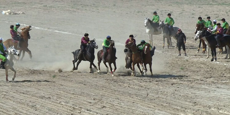 Қызылордада көкпардан ҚР чемпионаты өтіп жатыр