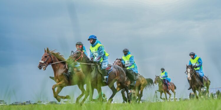 «ҰЛЫ ДАЛА ЖОРЫҒЫ-2024»