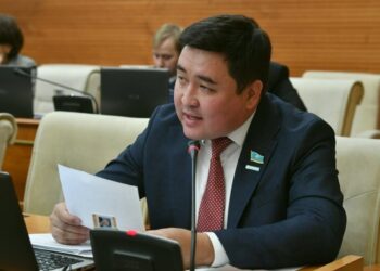 Депутат су астында қалған саяжай иелеріне өтемақы беруді ұсынды