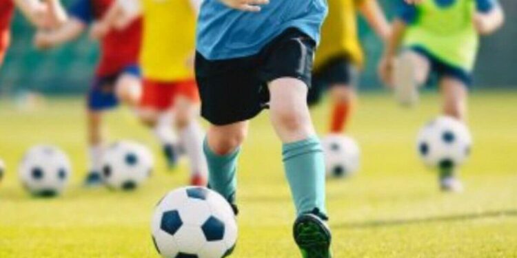 Шымкентте спорт және мәдениет басқармаларының экс-басшылары жауапқа тартылды